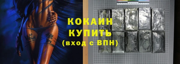 дживик Вязьма