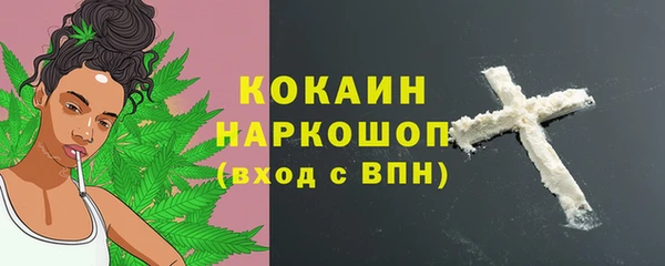 дживик Вязьма