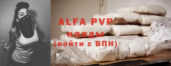 стаф Вяземский