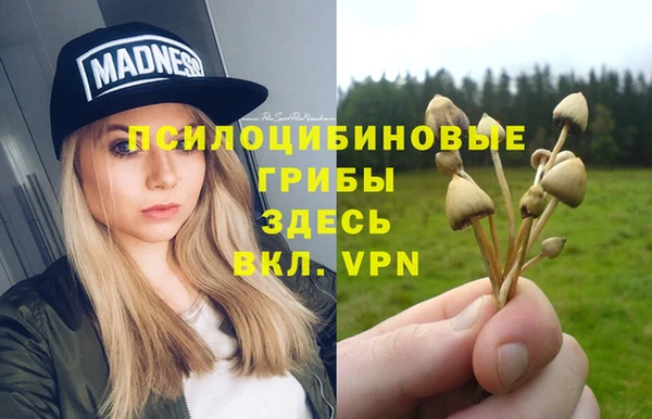 соль ск Бронницы