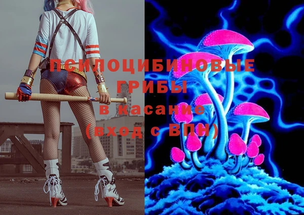 дживик Вязьма