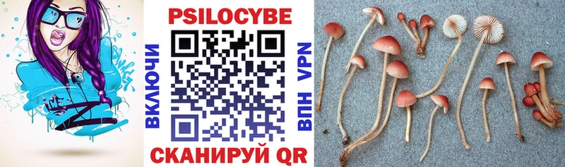 Галлюциногенные грибы Psilocybine cubensis  сколько стоит  Дорогобуж 